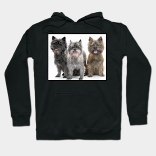 Three Cairn Terriers Hoodie